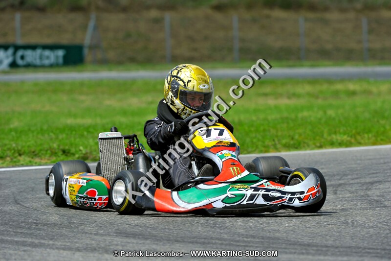 DSC_ (253).jpg
